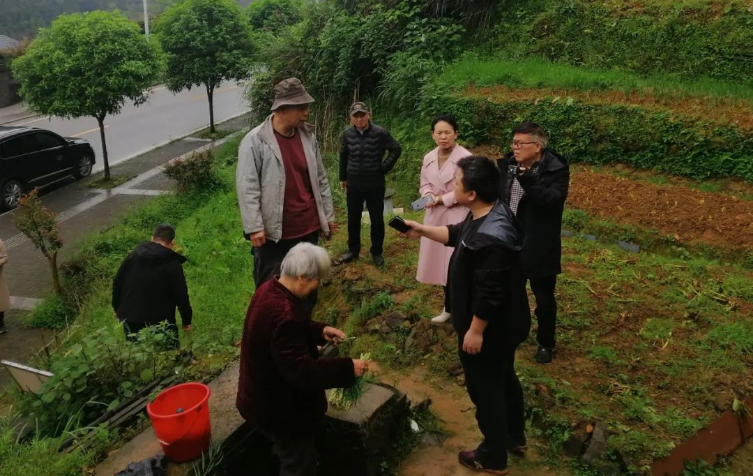 清除！這里不能種菜
