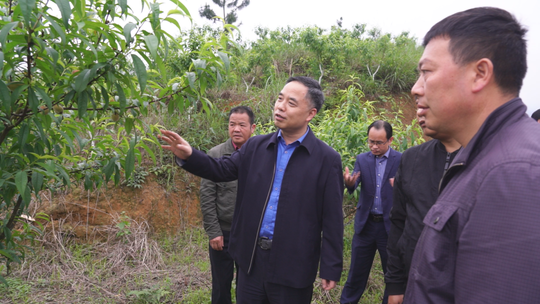 毛運鴻：把黨史學習教育成效轉化為解決實際問題和推動產業(yè)發(fā)展的生動實踐