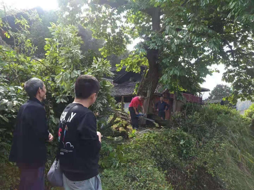 排除隱患保安全