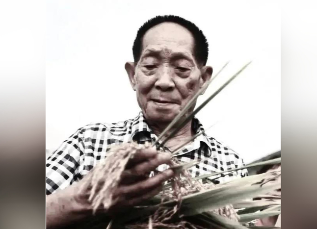湖南日報評論員丨國士無雙 巨匠永恒
