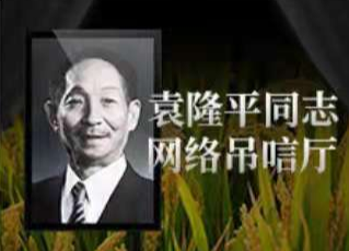 袁隆平同志網(wǎng)絡吊唁廳