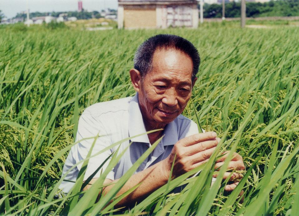 學習院士崇高風范，腳踏實地把科技論文寫在祖國大地上——習近平總書記對袁隆平同志的高度肯定在湖南各界引發(fā)熱烈反響