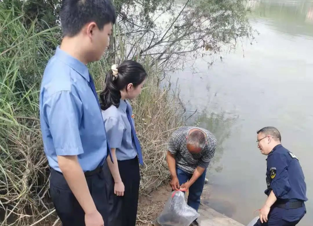 洪江區(qū)一非法捕撈者自購魚苗放流“補過”