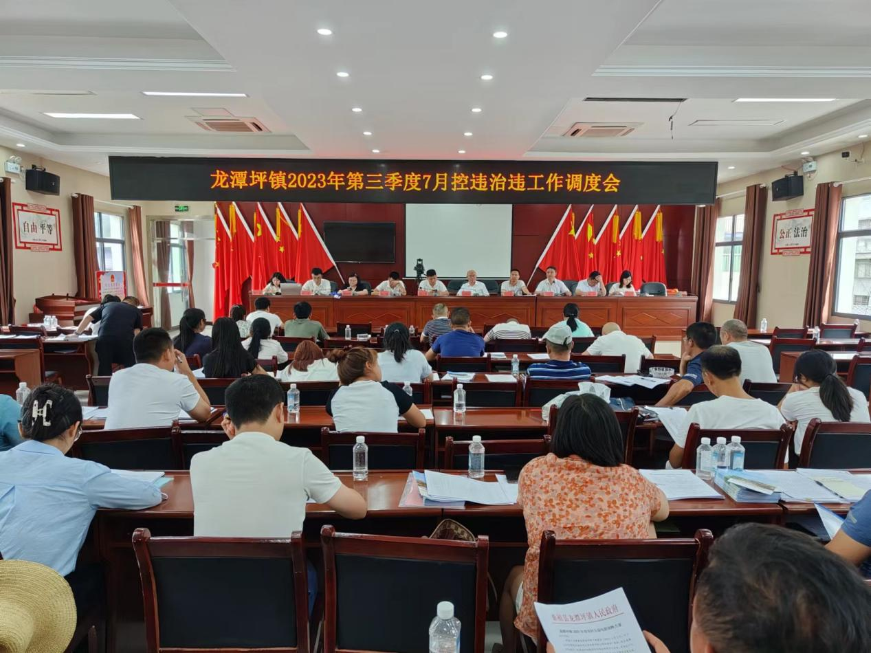 控违治违丨龙潭坪镇：强化每日巡查 严守“零新增”底线