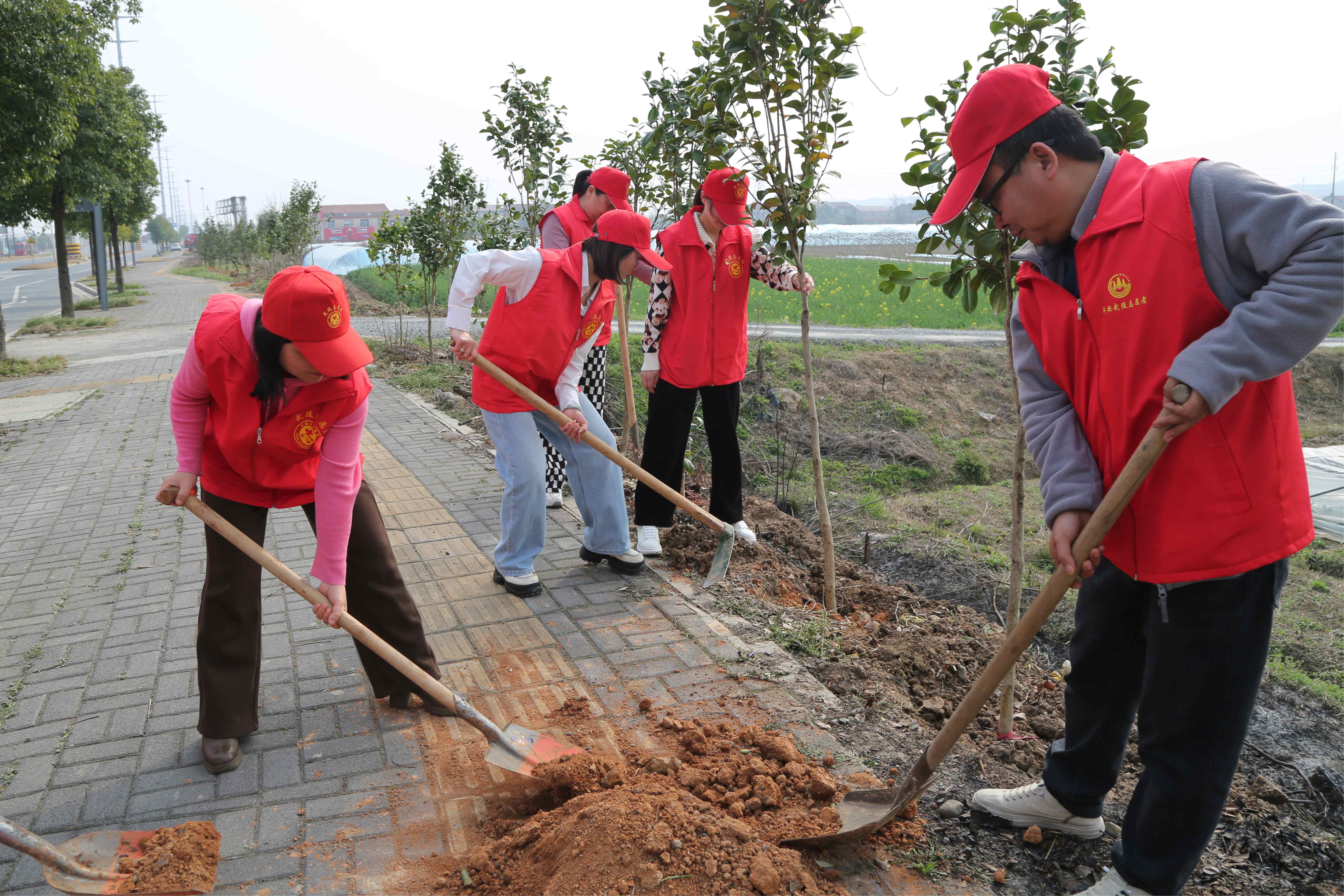 武陵区实验幼儿园党支部开展植树活动