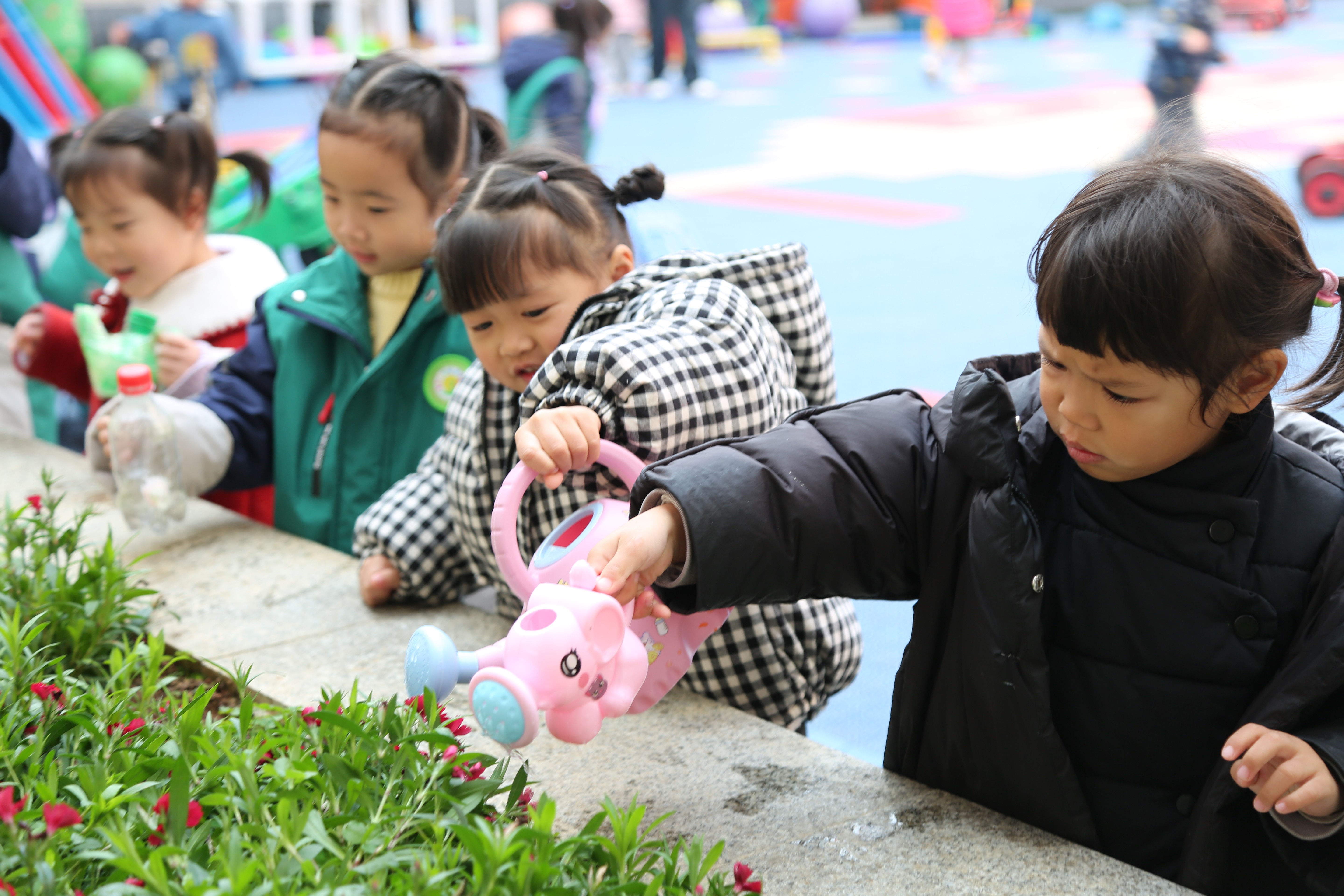 武陵区实验幼儿园开展植树节活动