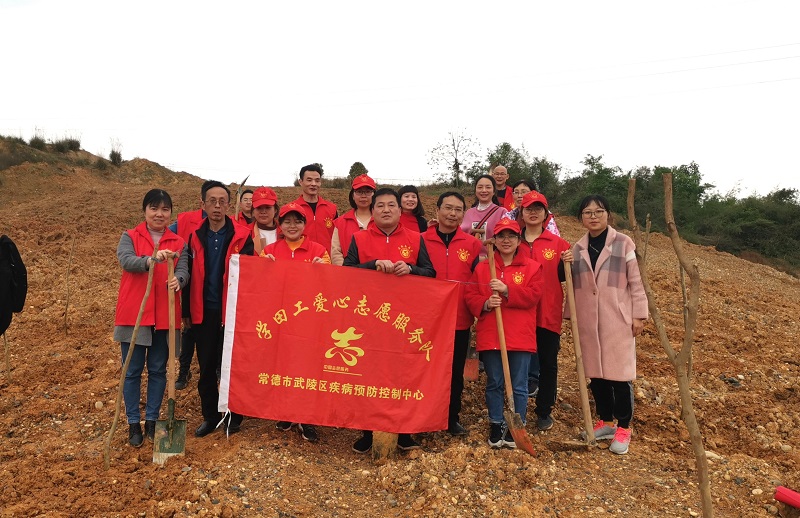栽种希望之树  绿化美好家园