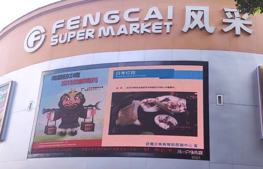 武陵区疾控中心开展预防野生蘑菇中毒知识宣传