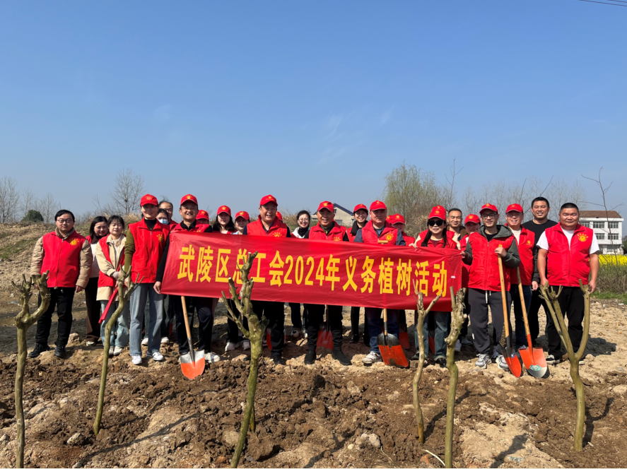 武陵区总工会开展义务植树活动
