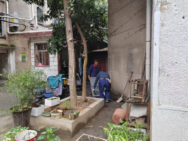 葩金社區(qū)： “凈家園”行動(dòng)煥新顏