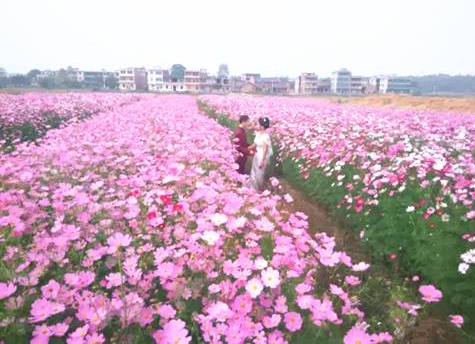 大市镇