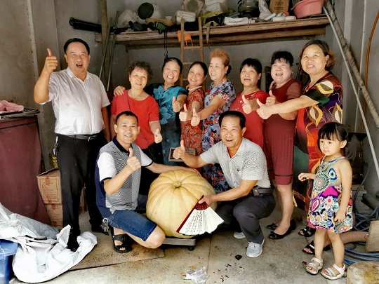 耒阳：水库旁种出百斤巨型南瓜 瓜农愿无偿捐博物馆
