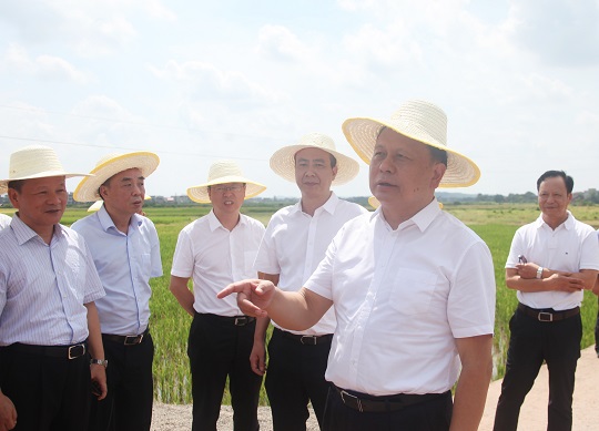 规范农村建房 加强耕地保护 确保粮食安全 促进乡村振兴周农到耒阳参加省人大代表小组活动