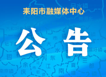 耒阳市第十七届人民代表大会第六次会议选举结果公告