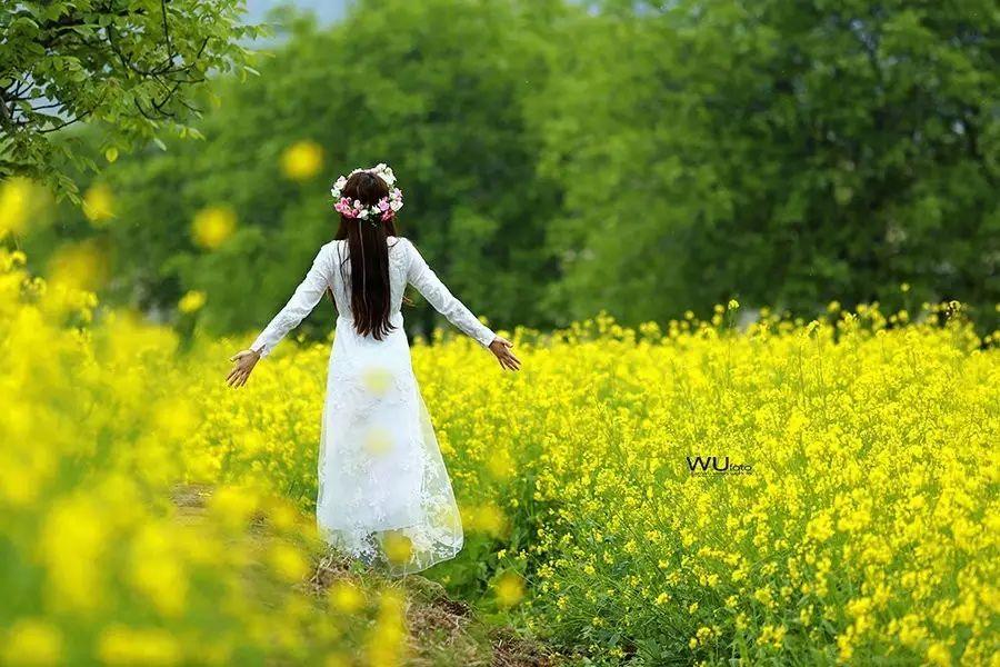 魅力新市 阡陌花香