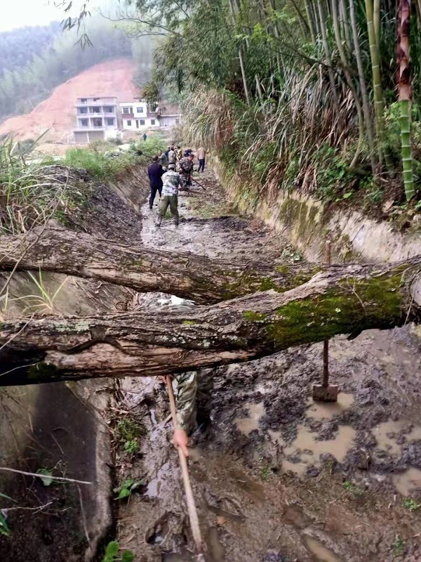 关王塘水库灌区干渠清淤扫障   让沃土良田喝足春灌水