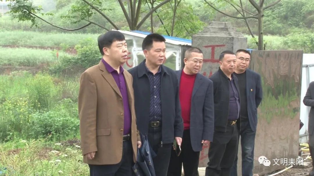 张东辉到哲桥镇督导突出生态环境问题整改