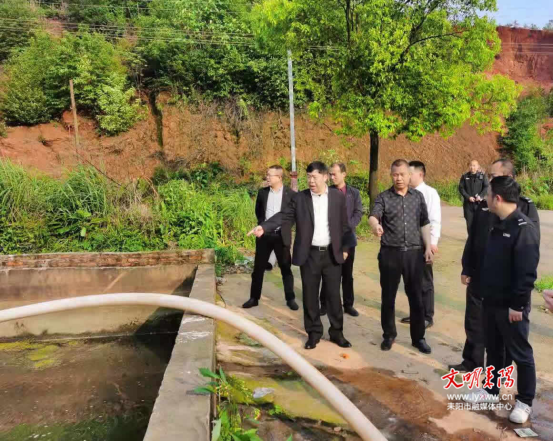 张东辉到哲桥镇督导环保整改工作