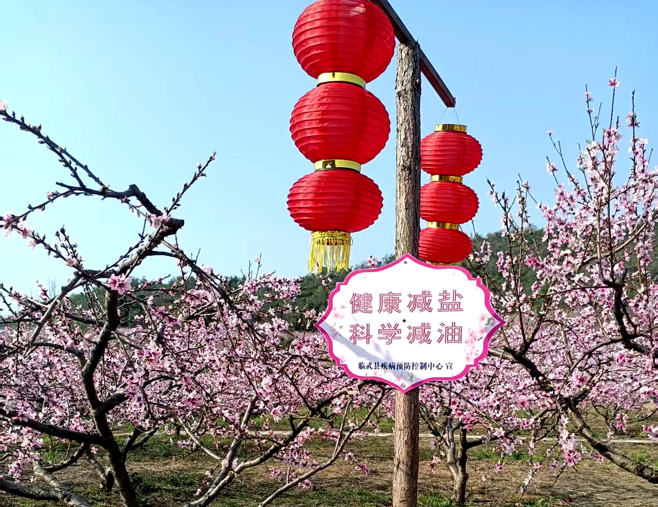 临武县疾控中心：把健康理念融入春日赏景