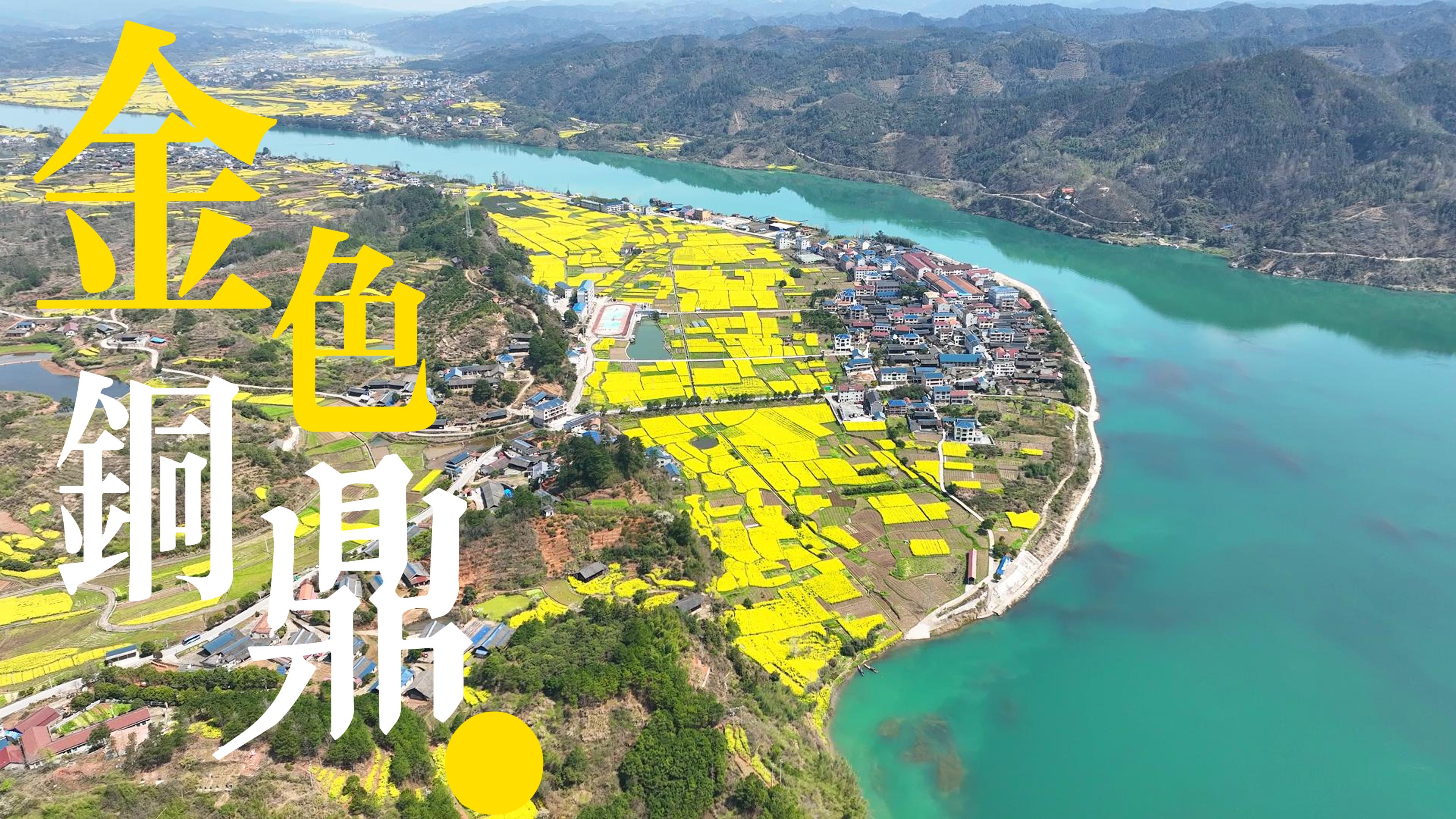 福地怀化·浪漫季|与金色铜鼎共赴春日之约