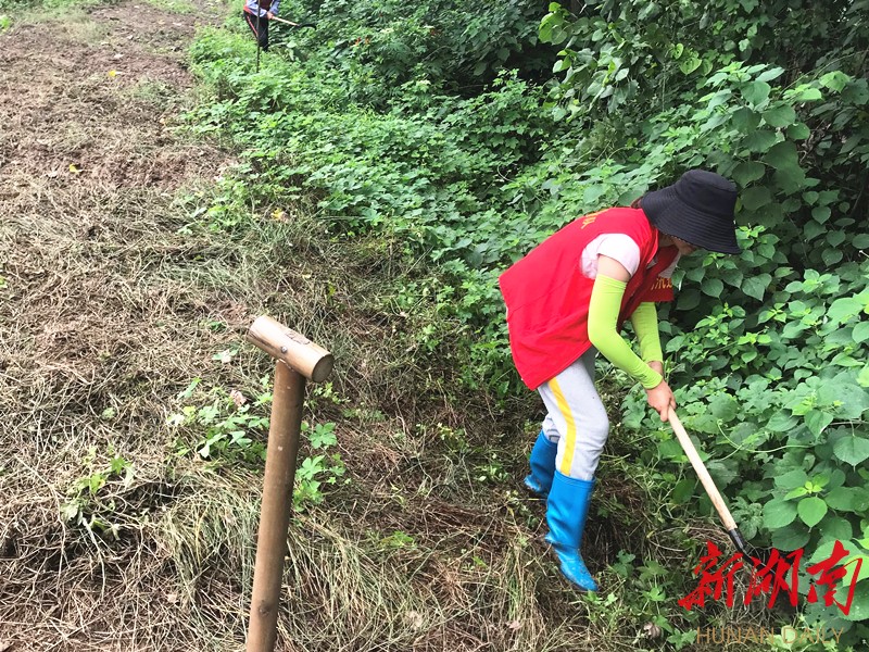 沧港防汛一线，巾帼不让须眉