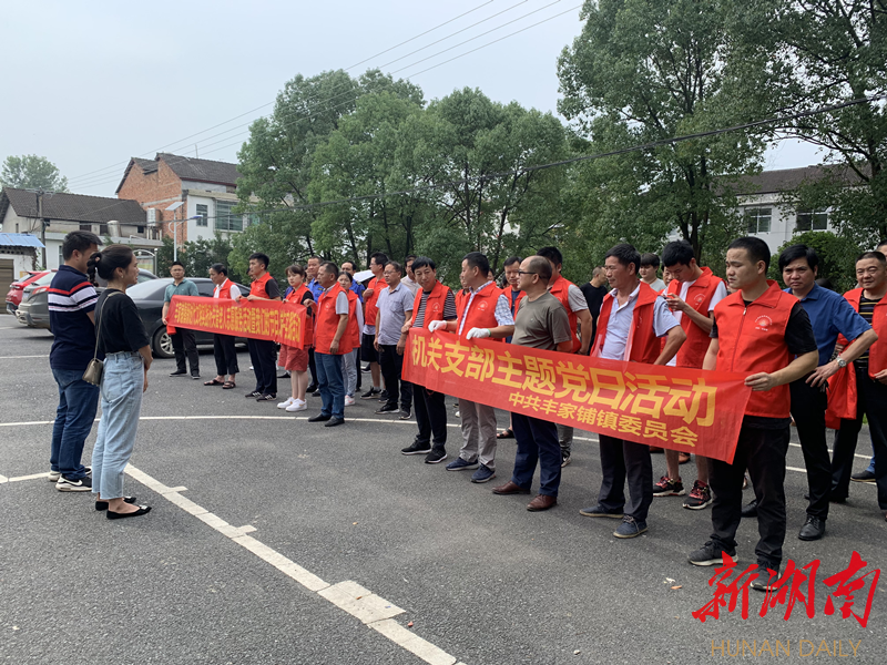 丰家铺镇：党员带头，深入持续开展爱国卫生运动