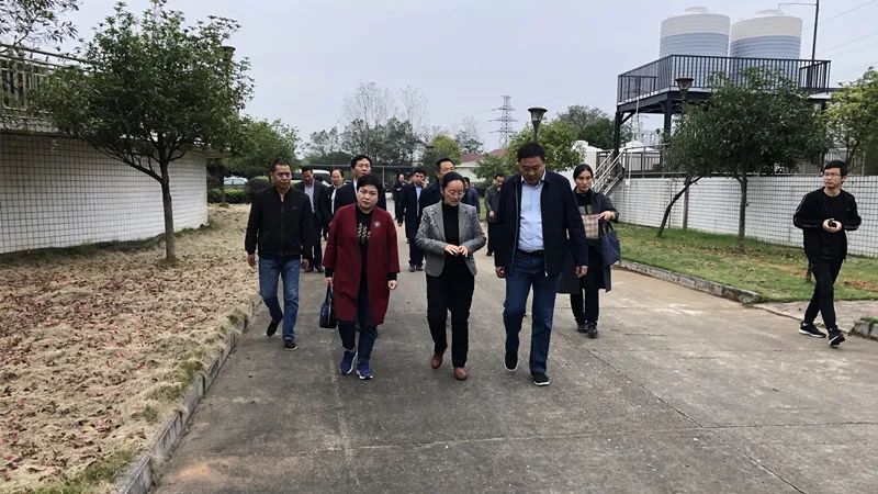 民盟省委领导来汉寿开展“洞庭湖生态环境治理”民主监督调研活动