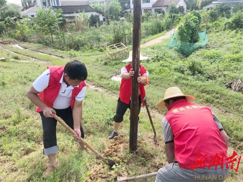 坡头镇：党旗高高飘扬在防汛一线