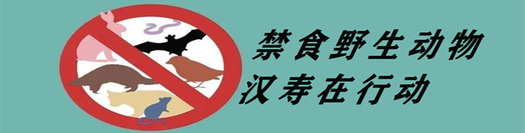 【禁食野生动物汉寿在行动】专题