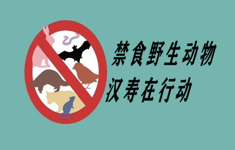 禁食野生动物汉寿在行动