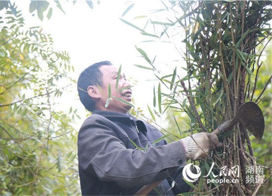 【文化扶贫在行动·湖南篇】文起潇湘 吹出扶贫新风尚