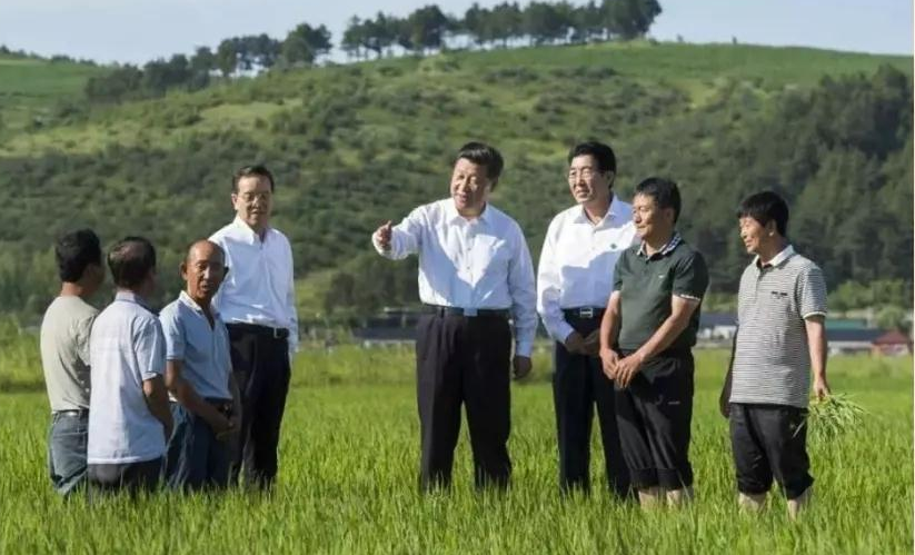 【中国的脱贫智慧】“平”语近人 | 打响品牌农业，湖南特色农业小镇焕发新活力