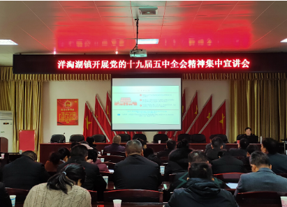洋淘湖镇：组织召开党的十九届五中全会精神宣讲会