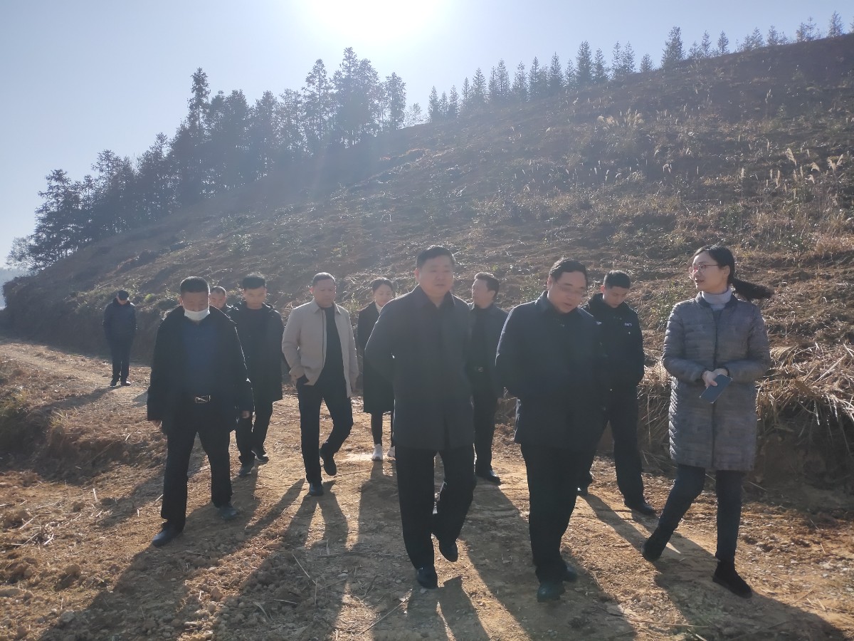 常德市应急管理局领导来汉寿督导森林防火安全生产工作