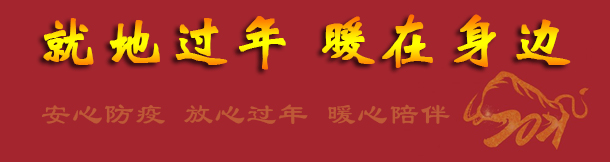 【就地过年 暖在身边】专题