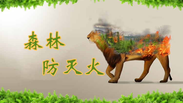 森林防灭火