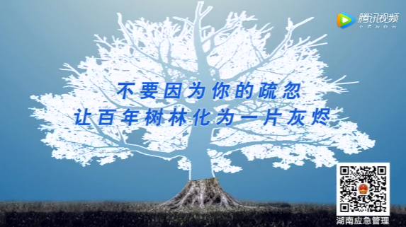 【森林防灭火】森林防火警示录——不要因为你的疏忽 让百年树林化为一片灰烬