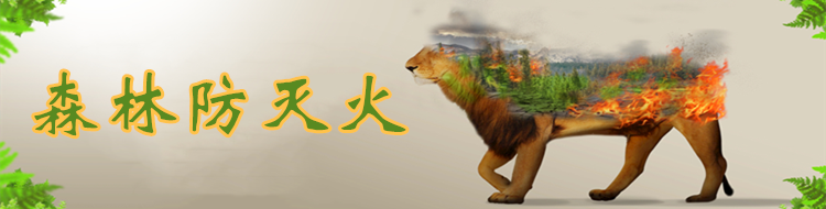 【森林防灭火】专题