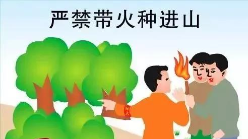 【森林防灭火】森林防火“ 十不要 ”