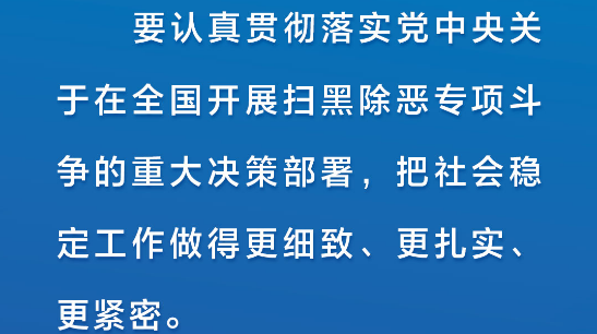 亮剑扫黑除恶 习近平为平安中国建设夯石筑基