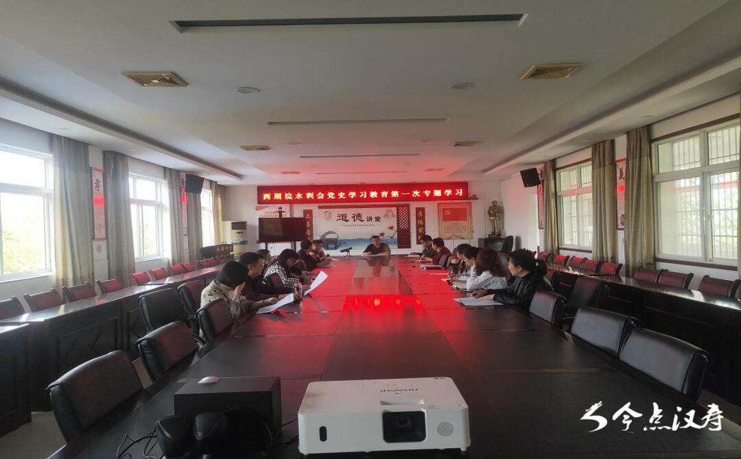 汉寿县西湖垸水利会开展党史学习教育第一次专题学习议