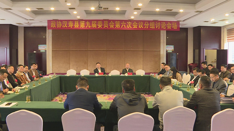 汉寿县政协委员分组讨论协商政协常委会工作报告以及提案工作报告
