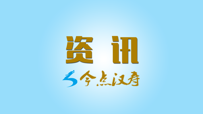 汉寿县气象局：开展防雷风险隐患排查 抓好安全生产工作