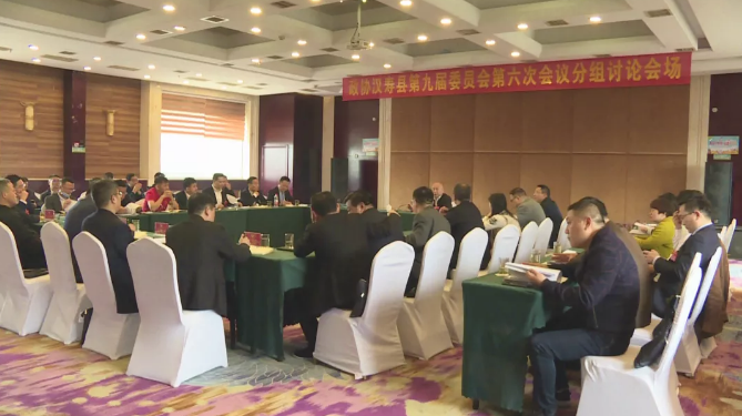 政协委员分组讨论协商政府、法院、检察院工作报告等