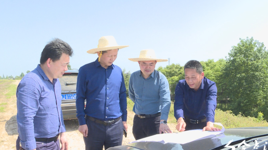 汉寿县领导调度目平湖分指防汛工作