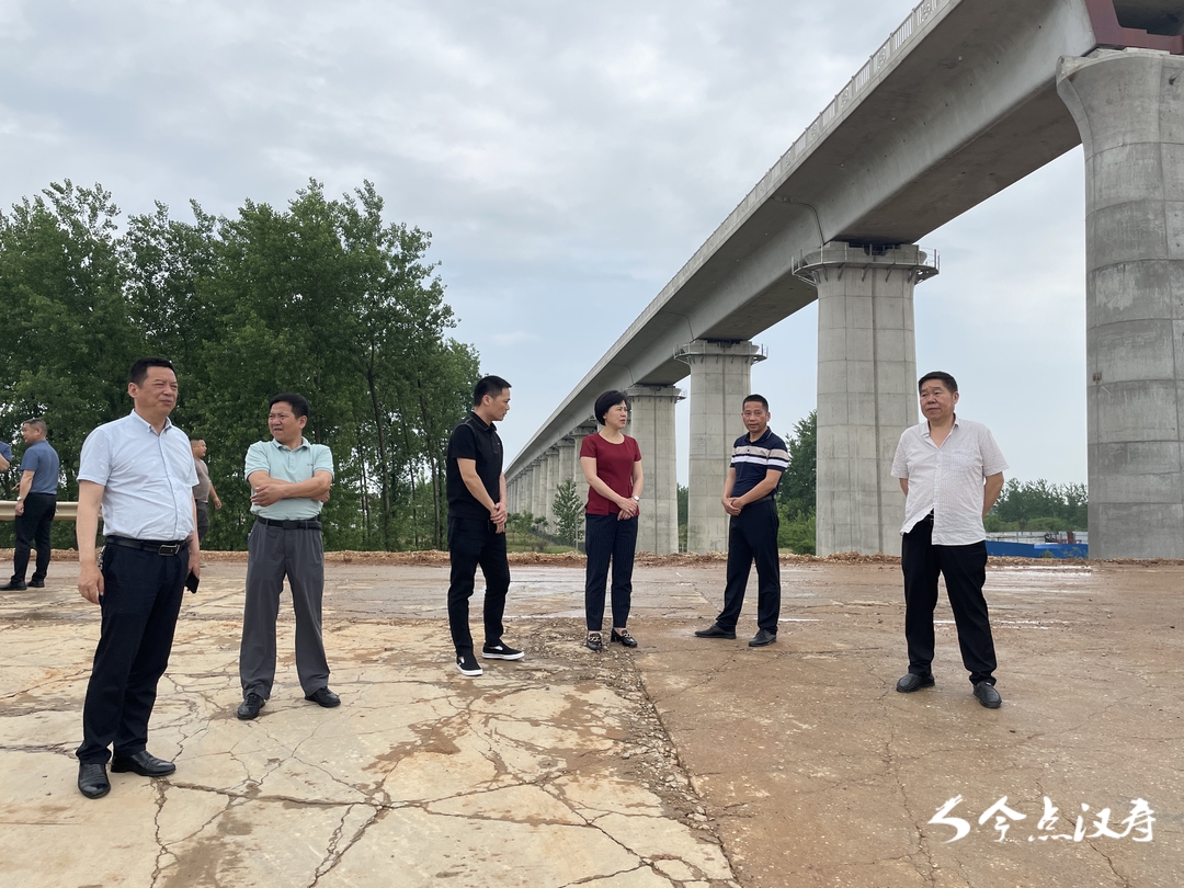 常德市医疗保障局负责人到汉寿县沅南垸督导备汛工作