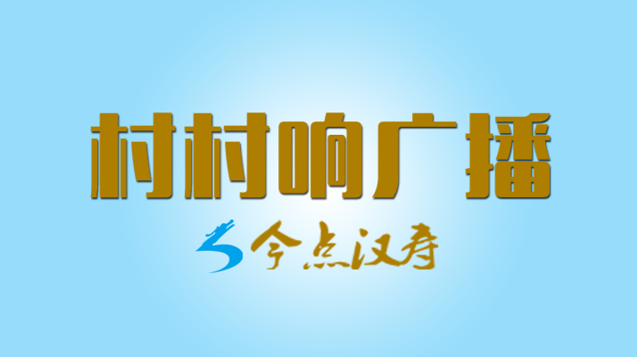 汉寿融媒村村响广播节目2021.05.31