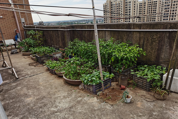 汉寿：整治“圈地占用”乱象   净化住宅小区环境