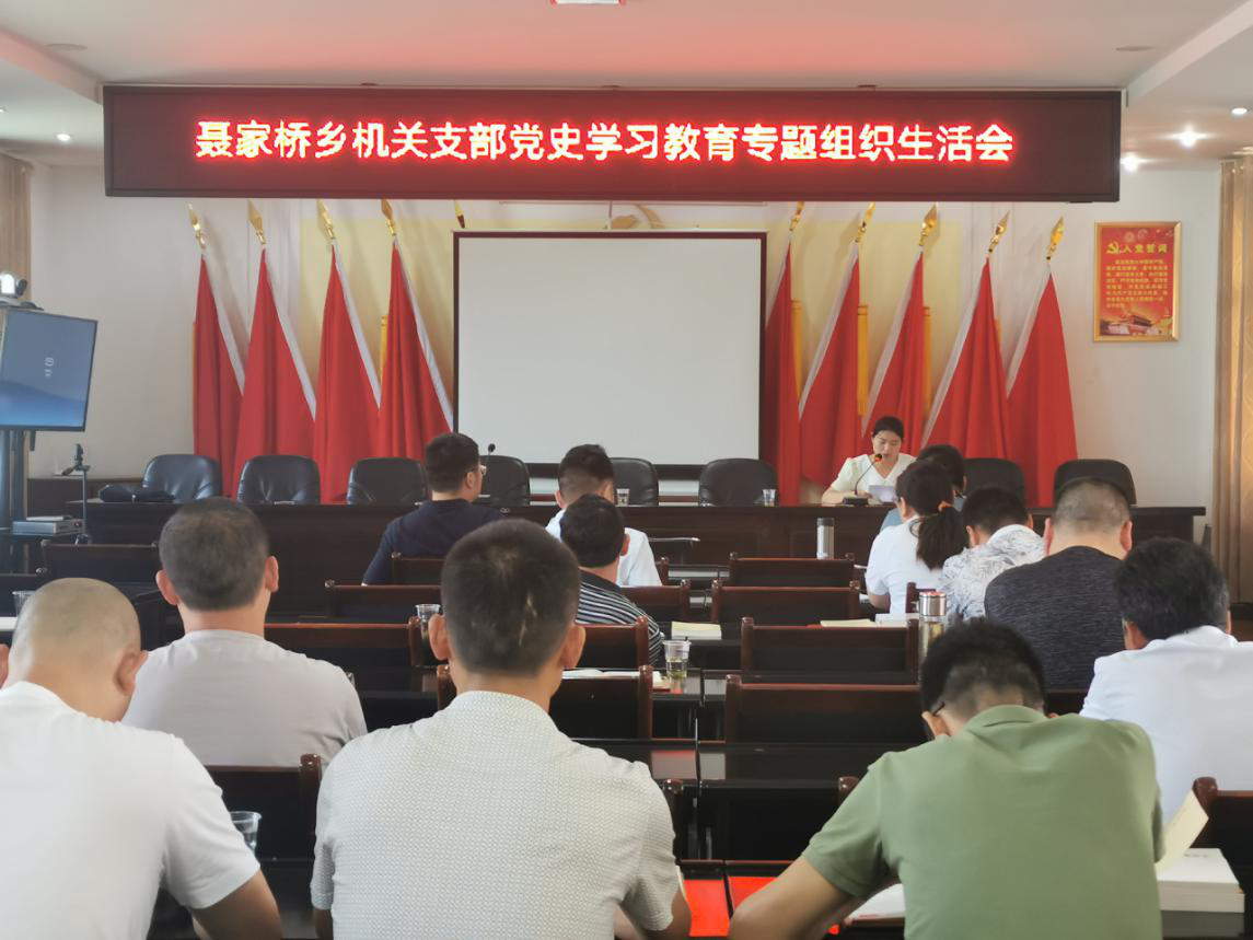 聂家桥乡召开机关支部党史学习教育专题组织生活会