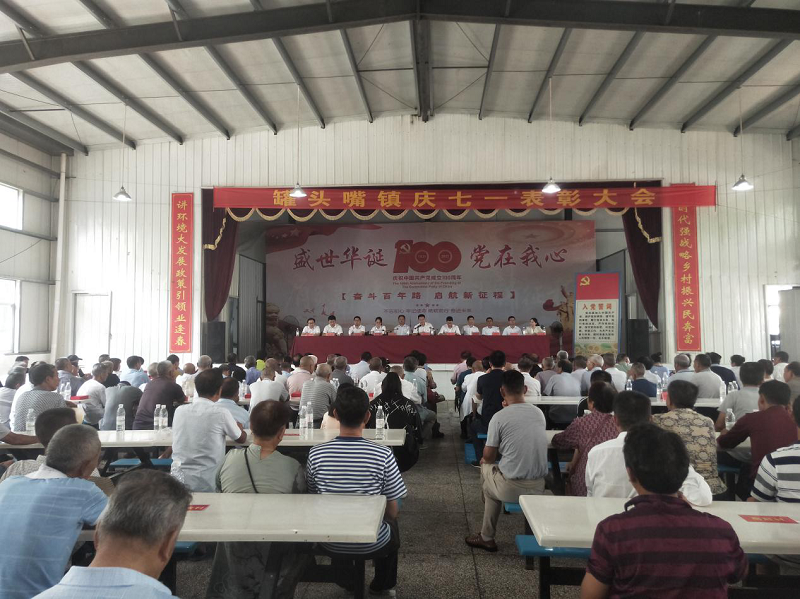 罐头嘴镇召开庆“七一”表彰大会